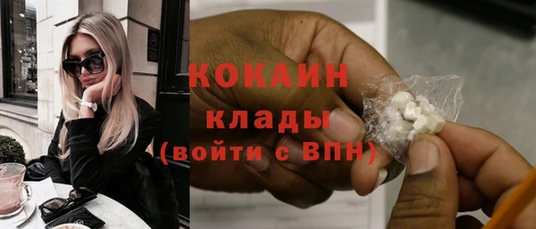 ПСИЛОЦИБИНОВЫЕ ГРИБЫ Инсар