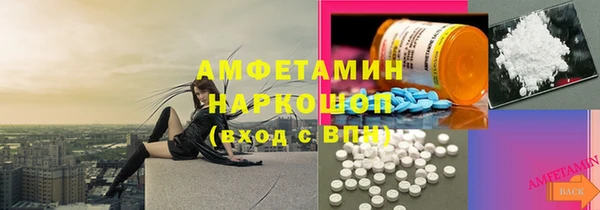 ПСИЛОЦИБИНОВЫЕ ГРИБЫ Инсар