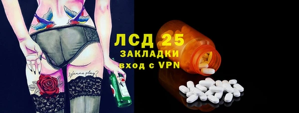 ПСИЛОЦИБИНОВЫЕ ГРИБЫ Инсар