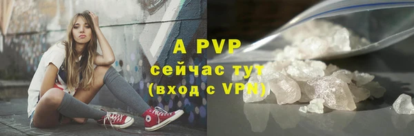 ПСИЛОЦИБИНОВЫЕ ГРИБЫ Инсар