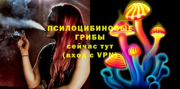 бутират Инта