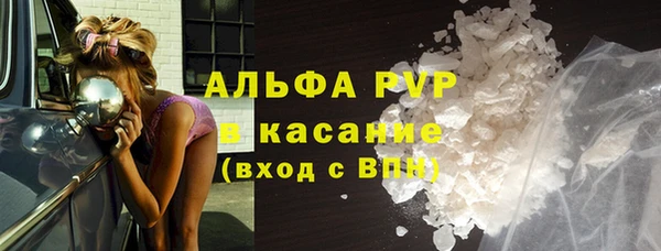 ПСИЛОЦИБИНОВЫЕ ГРИБЫ Инсар