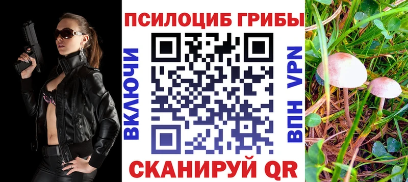 Купить закладки Славск Псилоцибиновые грибы GOLDEN TEACHER