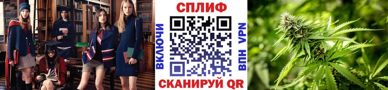 Купить Славск Бошки Шишки марихуана